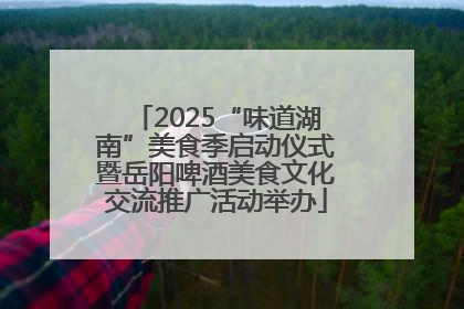 2025“味道湖南”美食季启动仪式暨岳阳啤酒美食文化交流推广活动举办