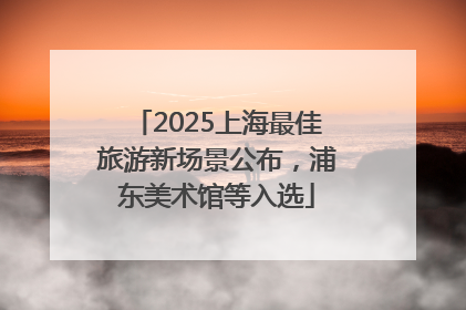 2025上海最佳旅游新场景公布，浦东美术馆等入选