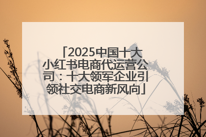 2025中国十大小红书电商代运营公司：十大领军企业引领社交电商新风向