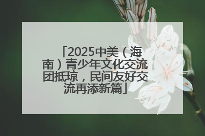 2025中美（海南）青少年文化交流团抵琼，民间友好交流再添新篇