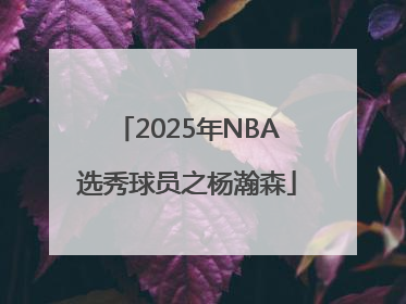 2025年NBA选秀球员之杨瀚森