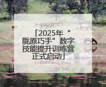 2025年“陇原巧手”数字技能提升训练营正式启动