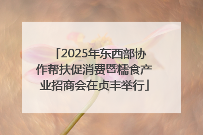 2025年东西部协作帮扶促消费暨糯食产业招商会在贞丰举行