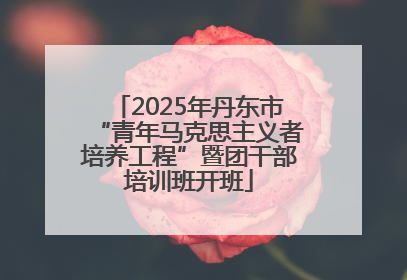 2025年丹东市“青年马克思主义者培养工程”暨团干部培训班开班