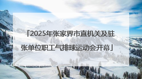 2025年张家界市直机关及驻张单位职工气排球运动会开幕