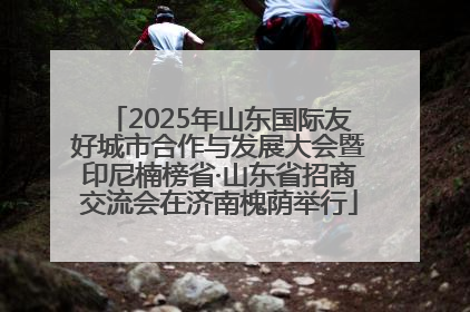 2025年山东国际友好城市合作与发展大会暨印尼楠榜省·山东省招商交流会在济南槐荫举行