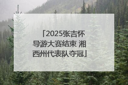 2025张吉怀导游大赛结束 湘西州代表队夺冠