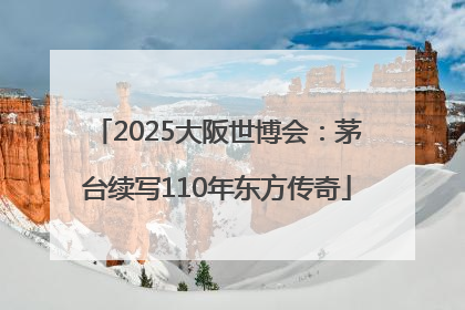 2025大阪世博会：茅台续写110年东方传奇