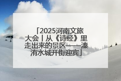 2025河南文旅大会丨从《诗经》里走出来的景区——溱洧水城开街迎宾