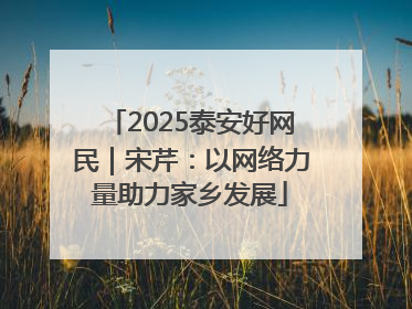 2025泰安好网民｜宋芹：以网络力量助力家乡发展
