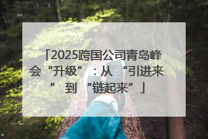 2025跨国公司青岛峰会“升级”：从 “引进来” 到 “链起来”