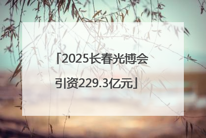 2025长春光博会引资229.3亿元