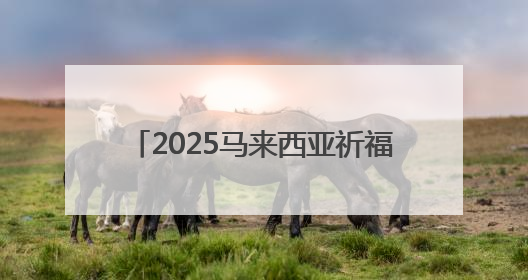 2025马来西亚祈福团来泰安团建 政策赋能共绘文旅合作新篇