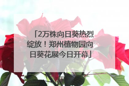 2万株向日葵热烈绽放！郑州植物园向日葵花展今日开幕