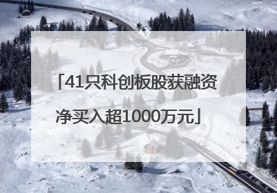 41只科创板股获融资净买入超1000万元
