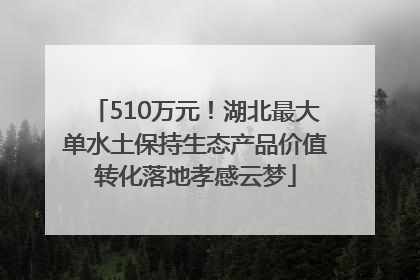 510万元！湖北最大单水土保持生态产品价值转化落地孝感云梦