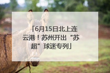 6月15日北上连云港！苏州开出“苏超”球迷专列