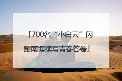 700名“小白云”闪耀南博续写青春答卷