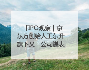 IPO观察｜京东方创始人王东升旗下又一公司递表，3年亏损近50亿元，近8成收入来自同一客户