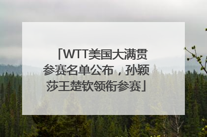 WTT美国大满贯参赛名单公布，孙颖莎王楚钦领衔参赛