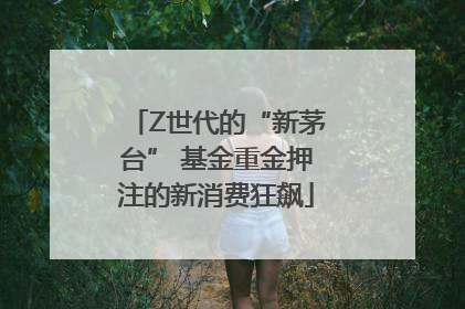 Z世代的“新茅台” 基金重金押注的新消费狂飙